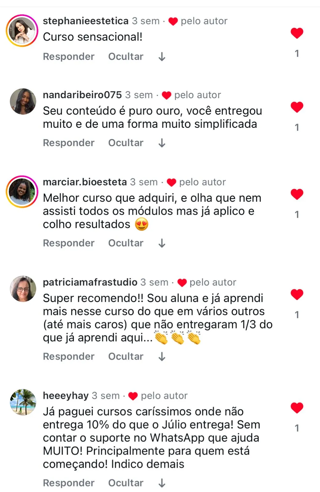 Comentário de aluno 2